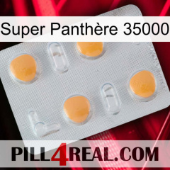 Super Panthère 35000 24